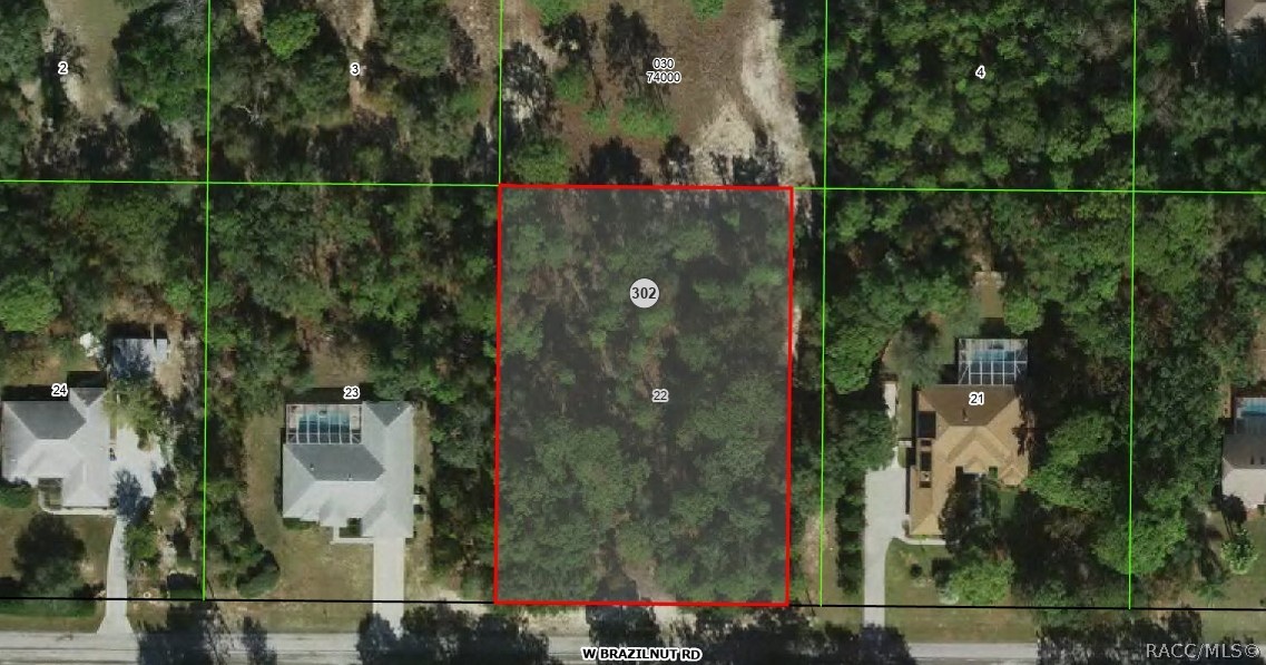 3781 W Brazilnut Road, Beverly Hills, FL 34465
