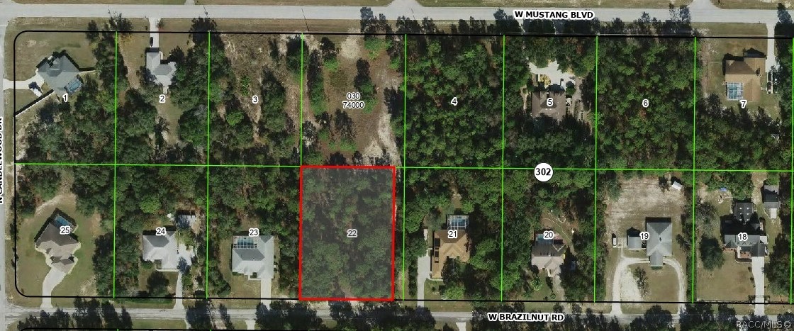 3781 W Brazilnut Road, Beverly Hills, FL 34465