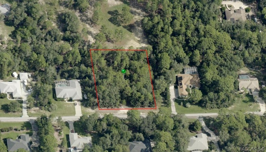 3781 W Brazilnut Road, Beverly Hills, FL 34465