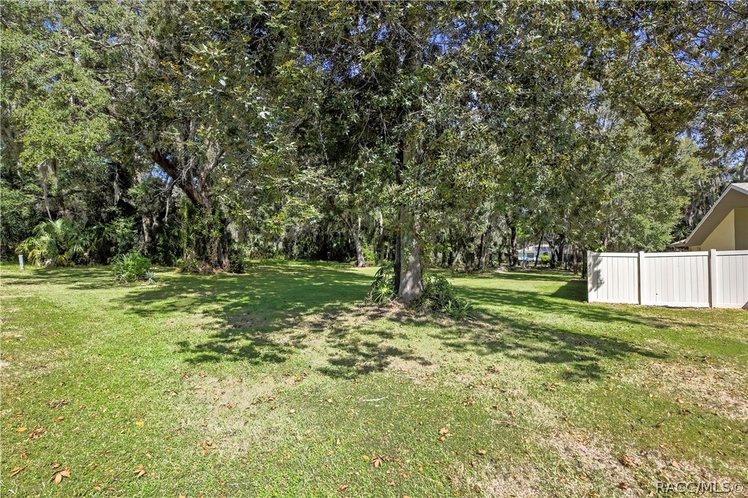 Grassy, tree-filled yard: palms, oaks with Spanish moss, chain-link fencing, and a stone bench at the right. No house in frame.