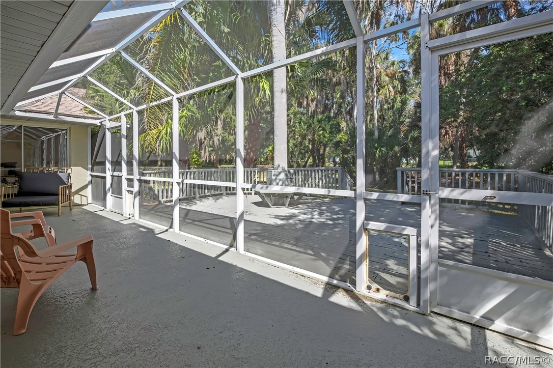Wood deck: grey wood deck planks, railing, a built-in bench around a palm tree trunk in the centre, steps at the right down to the lawn, the screen enclosure at the left with blue doors, palm trees, a chain-link fence, and lawn and trees beyond.
