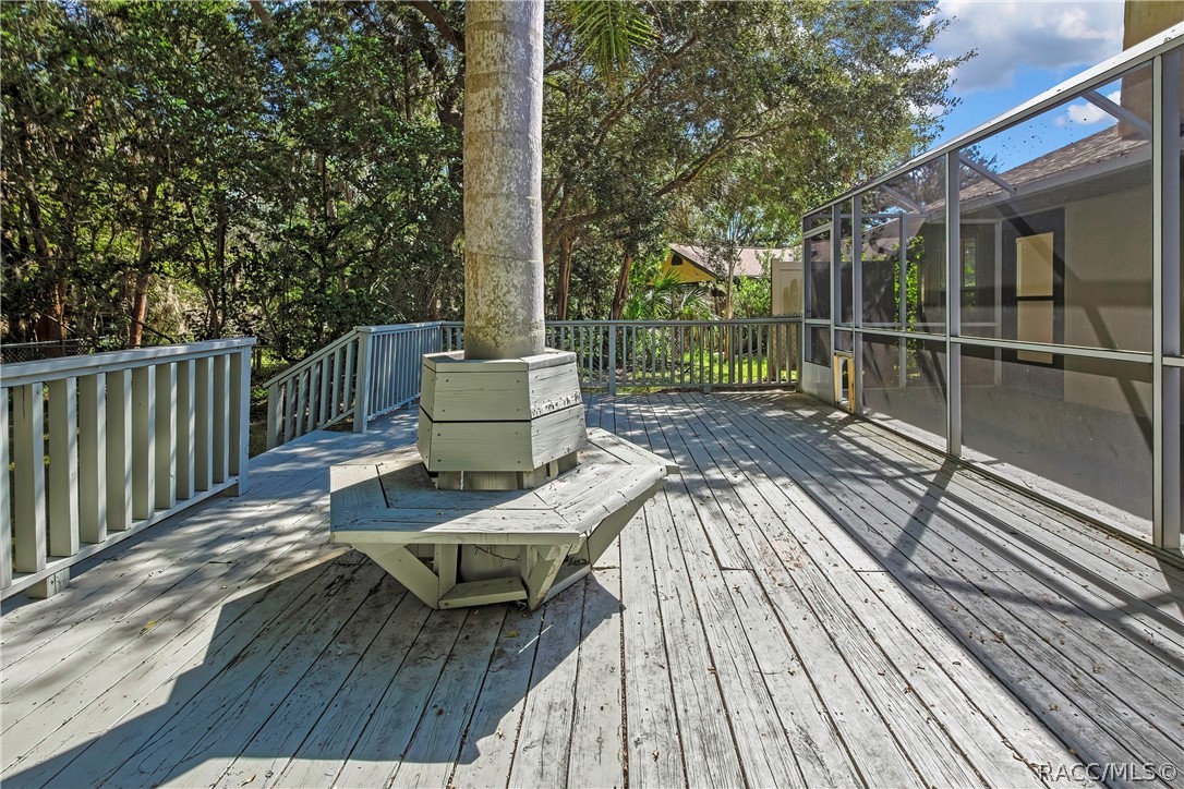 Wood deck: grey wood deck planks, railing, a built-in bench around a palm tree trunk in the centre, steps at the right down to the lawn, the screen enclosure at the left with blue doors, palm trees, a chain-link fence, and lawn and trees beyond.