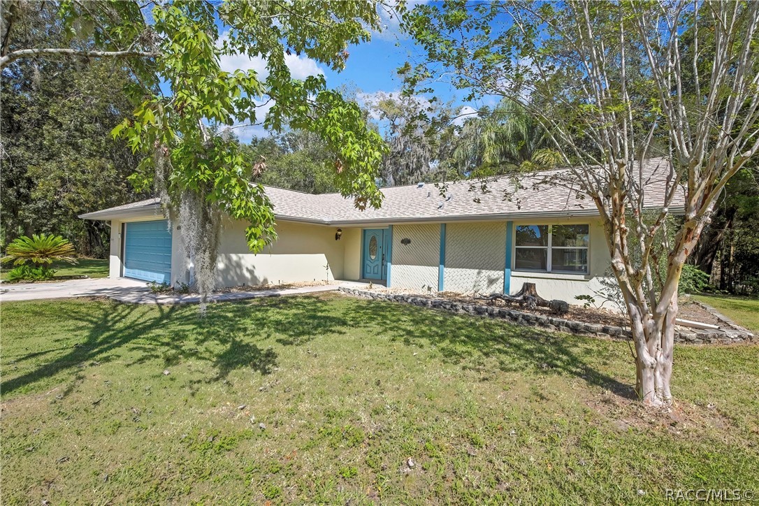 Front of the house seen from across the lawn, framed by tree branches with Spanish moss in the foreground: blue garage door at the left, blue entry door with oval glass in the centre, lattice wall section, a large window, a low stone retaining border along the front bed, a palm plant at the left, a multi-trunk tree at the right, green lawn, trees and palms behind the house, blue sky.