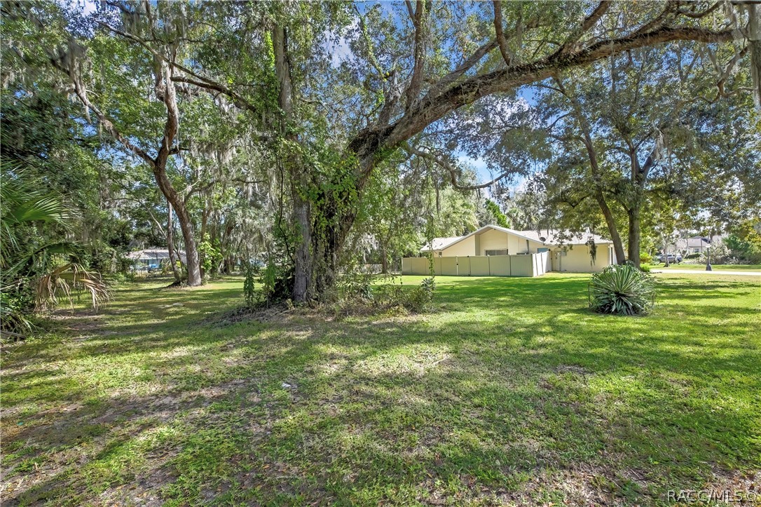 Wide grassy lot: oaks with Spanish moss, a white vinyl fence at the right, a house at the far right, plants at the left, and dappled shade across the grass.