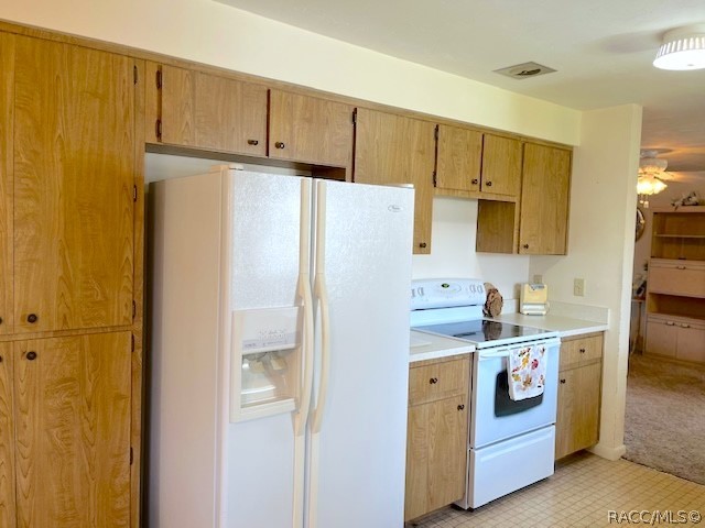 307 S Fillmore Street, Beverly Hills, FL 34465