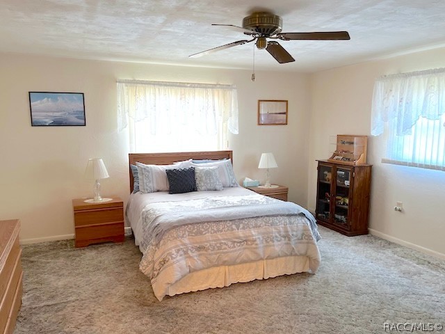 307 S Fillmore Street, Beverly Hills, FL 34465