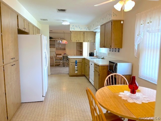 307 S Fillmore Street, Beverly Hills, FL 34465