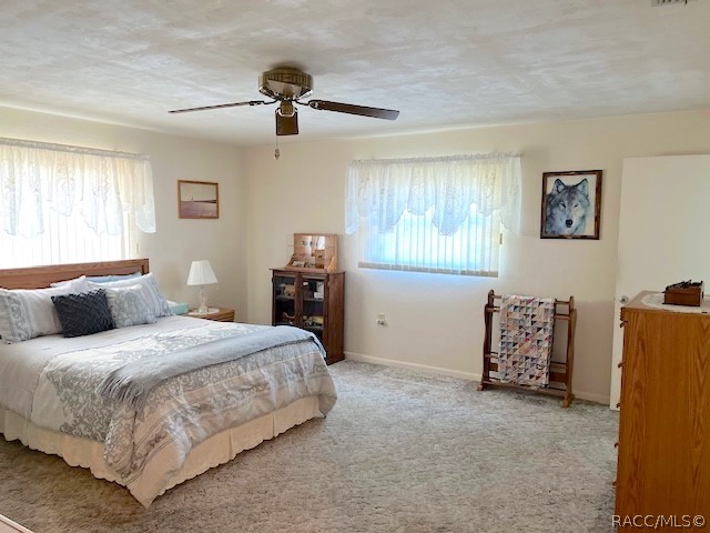 307 S Fillmore Street, Beverly Hills, FL 34465
