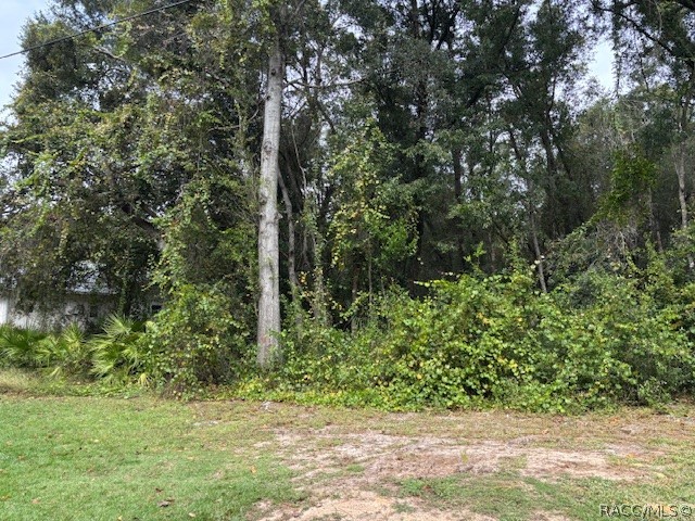 5727 W Meadowpark Lane, Crystal River, FL 34429