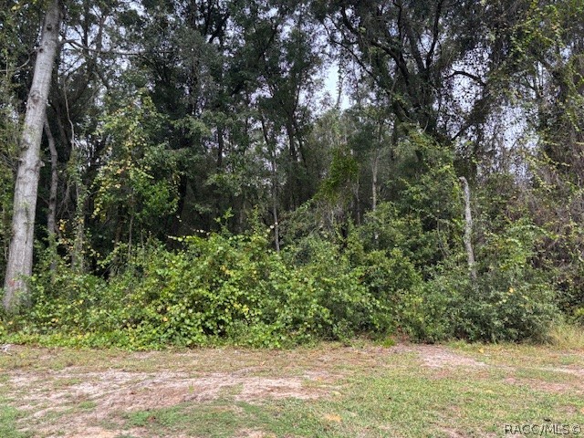 5727 W Meadowpark Lane, Crystal River, FL 34429