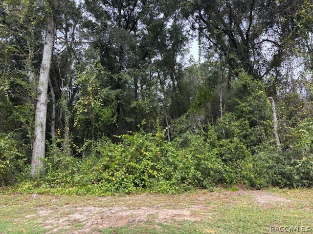 5727 W Meadowpark Lane, Crystal River, FL 34429