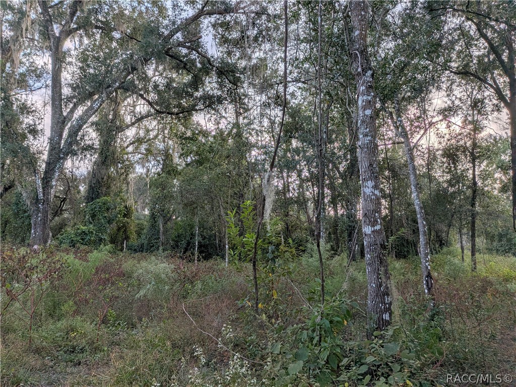 12475 S Istachatta Road, Floral City, FL 34436