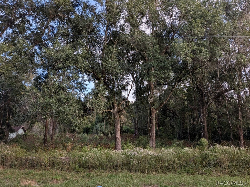 12475 S Istachatta Road, Floral City, FL 34436 12475 S Istachatta Road, Floral City, FL 34436