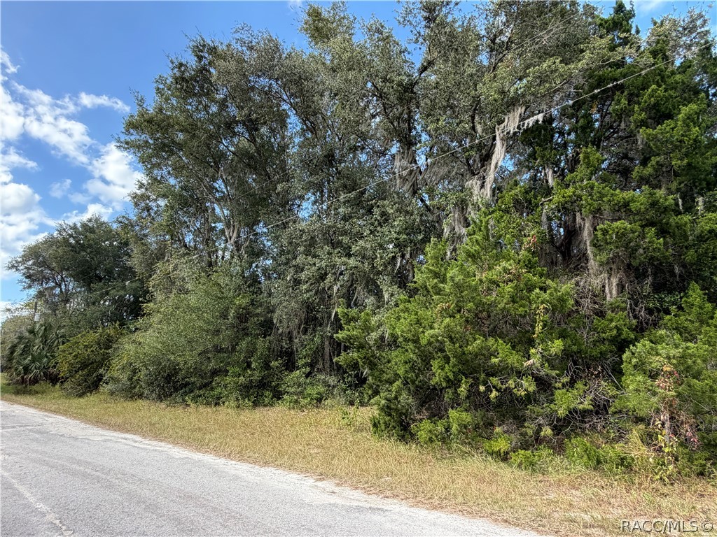 8723 W Bass Lake Road, Crystal River, FL 34428