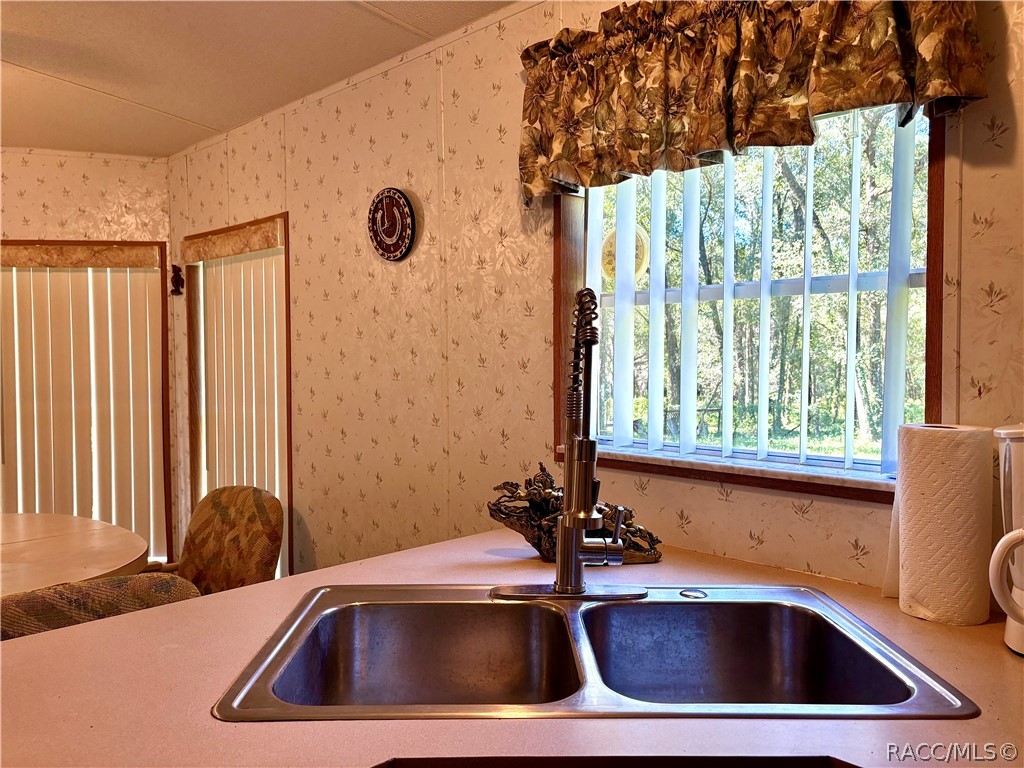 9954 S Forestline Avenue, Inverness, FL 34452