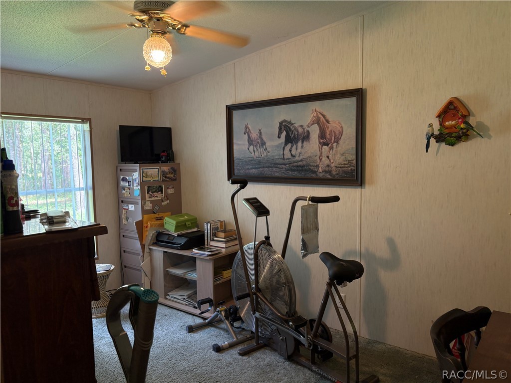9954 S Forestline Avenue, Inverness, FL 34452