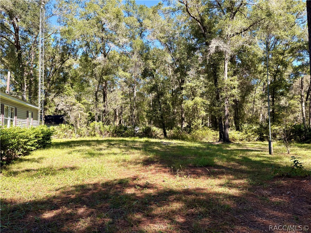 9954 S Forestline Avenue, Inverness, FL 34452