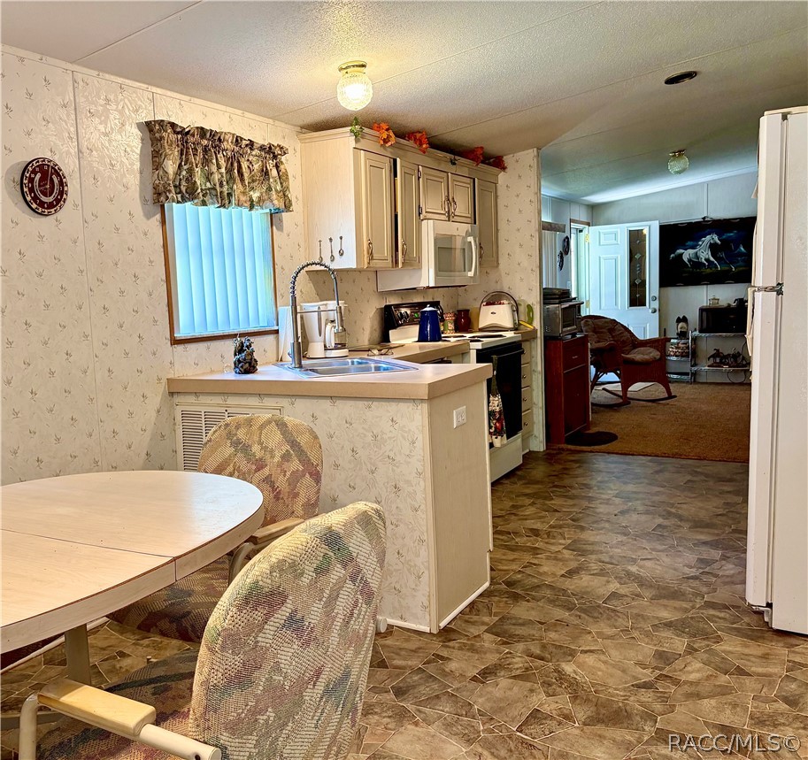 9954 S Forestline Avenue, Inverness, FL 34452