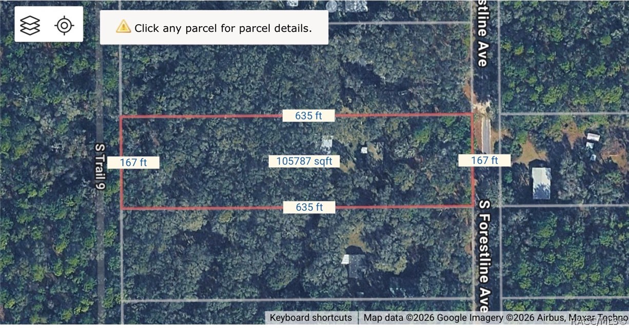 9954 S Forestline Avenue, Inverness, FL 34452