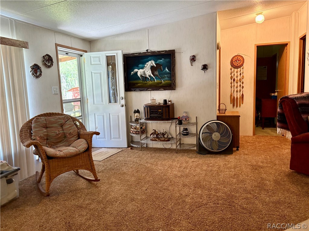 9954 S Forestline Avenue, Inverness, FL 34452