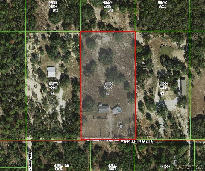 3409 W Corrie Leath Lane, Dunnellon, FL 34433