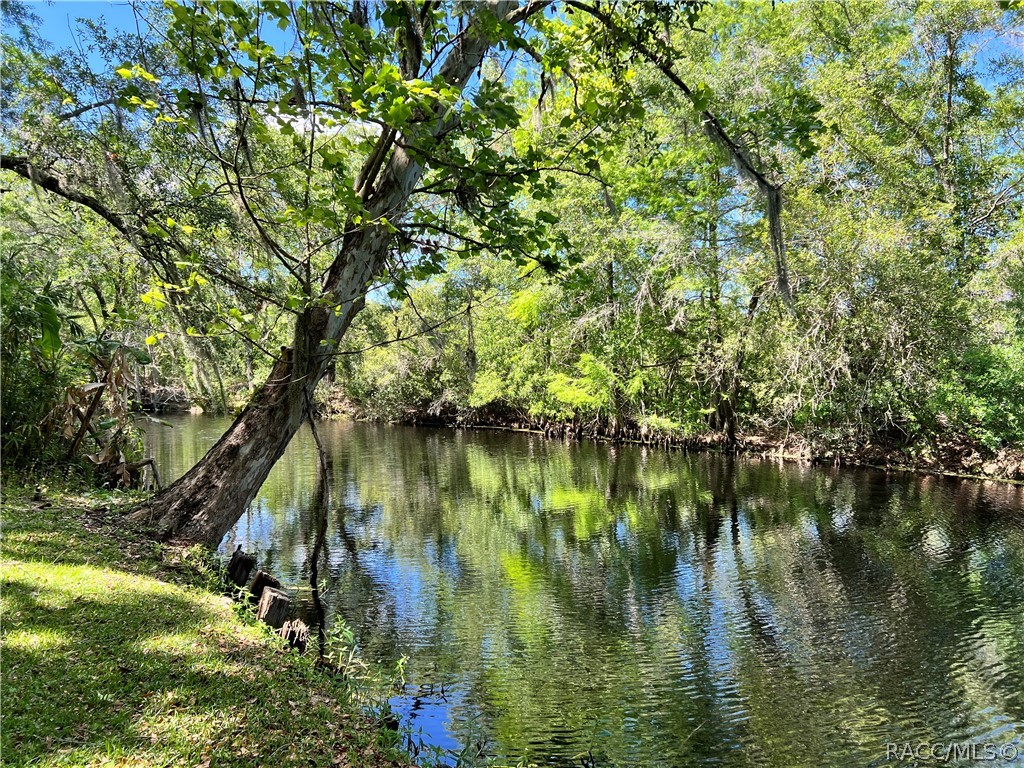 6725 S Whippoorwill Circle, Floral City, FL 34436