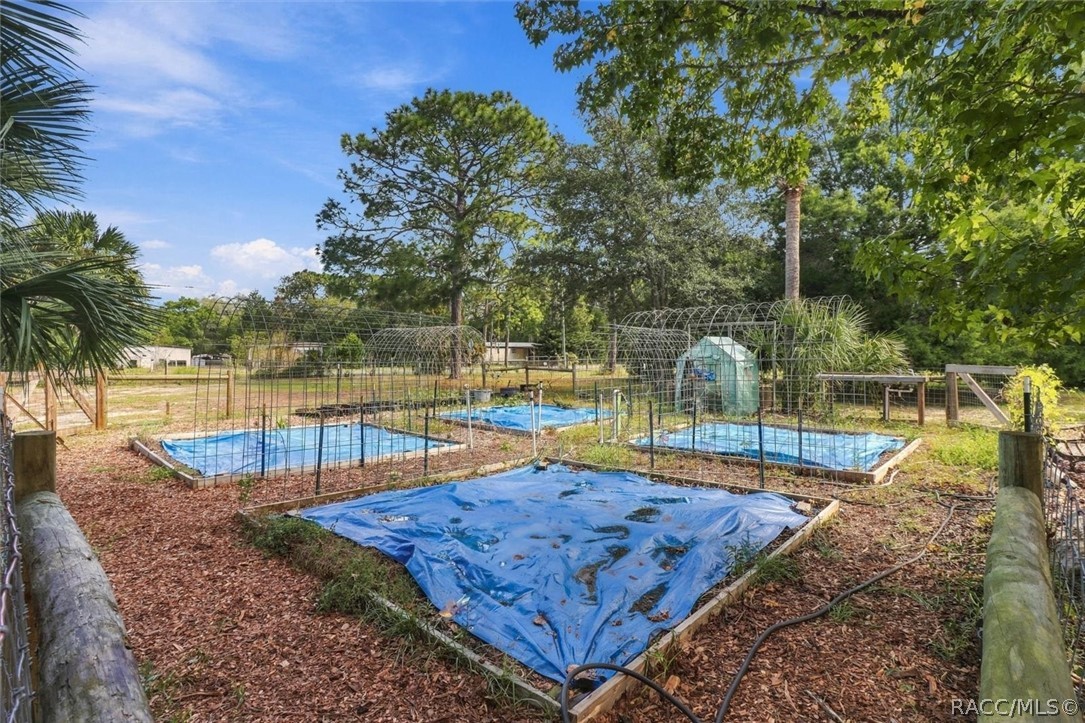 Fenced garden