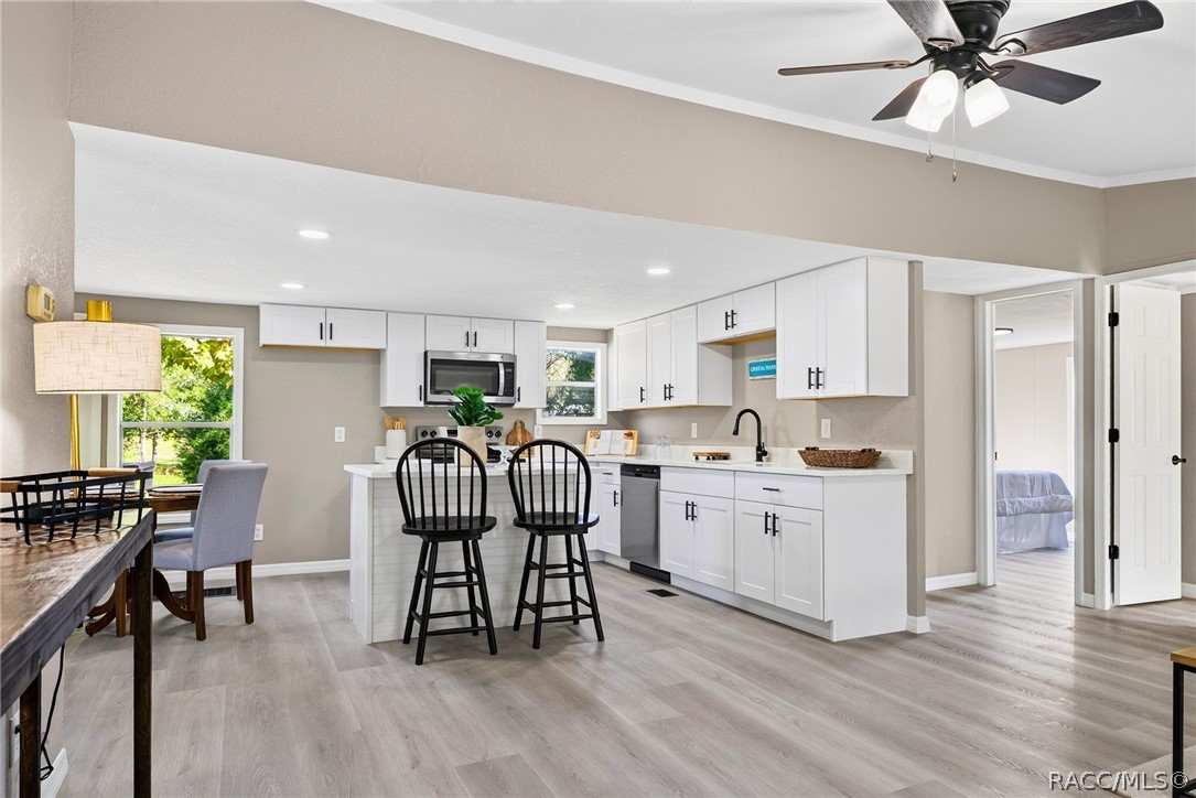 7149 W Hadenotter Lane, Homosassa, FL 34446