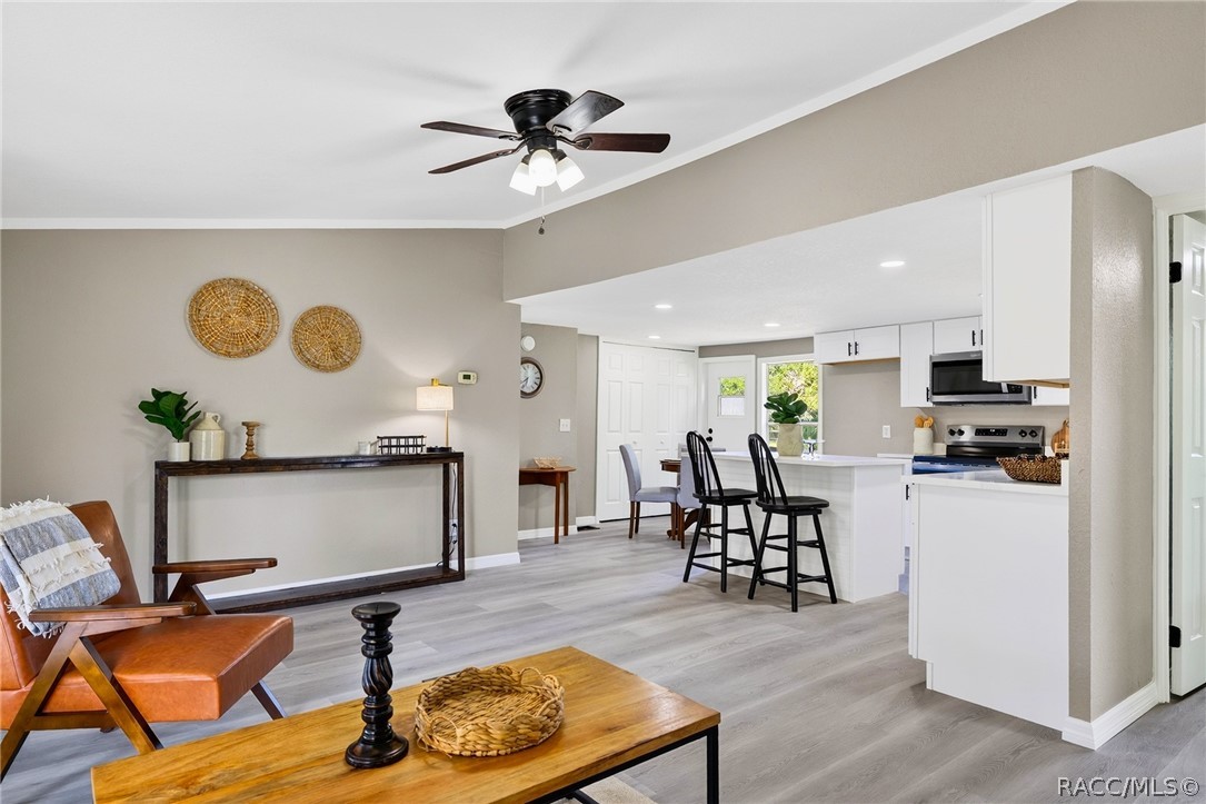 7149 W Hadenotter Lane, Homosassa, FL 34446