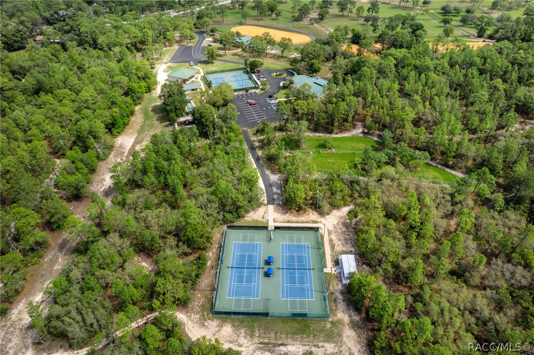 1950 W Tall Oaks Drive, Beverly Hills, FL 34465