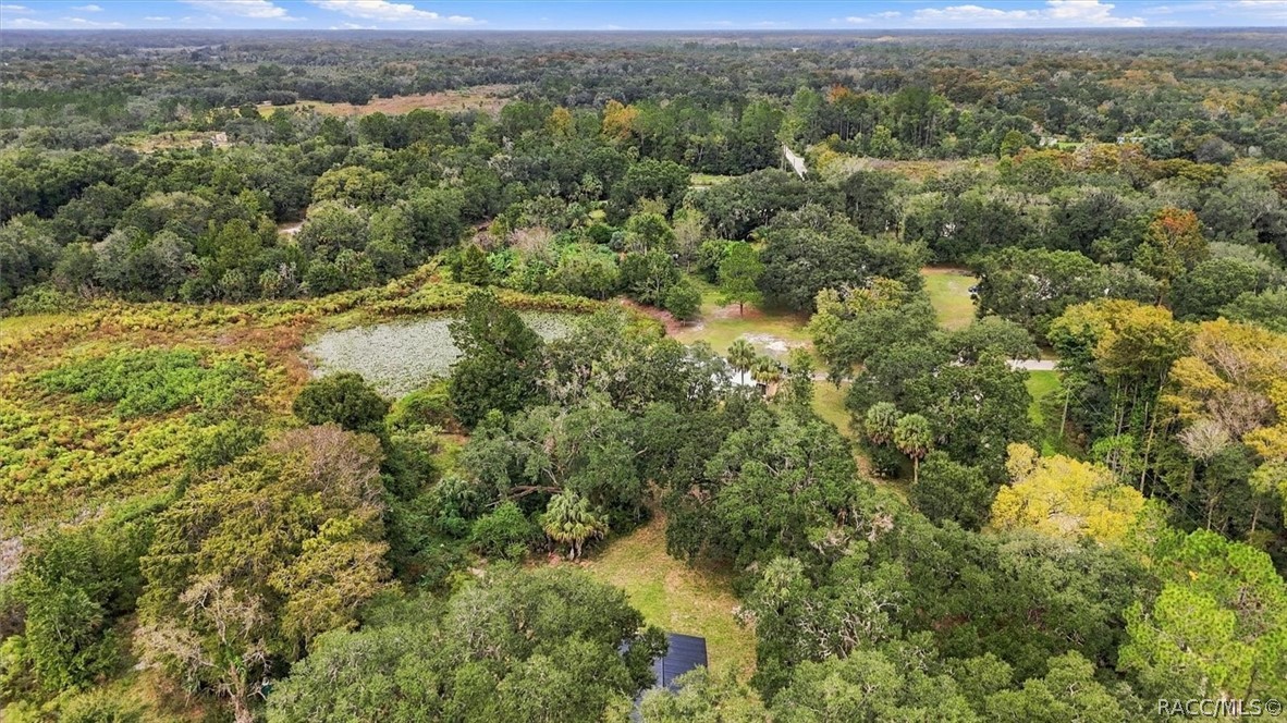 10333 E Clovernook Lane, Inverness, FL 34450