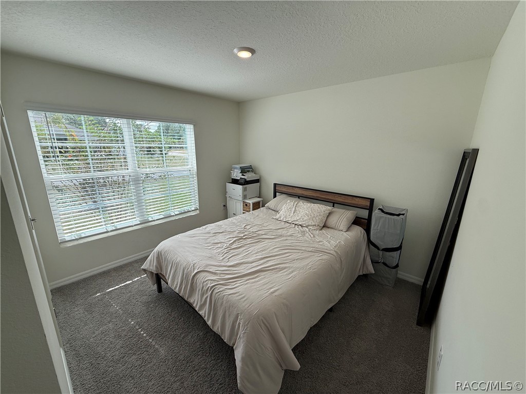 8767 N Paradisea Drive, Citrus Springs, FL 34433