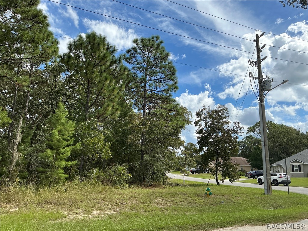 29 Oak Village Boulevard S, Homosassa, FL 34446