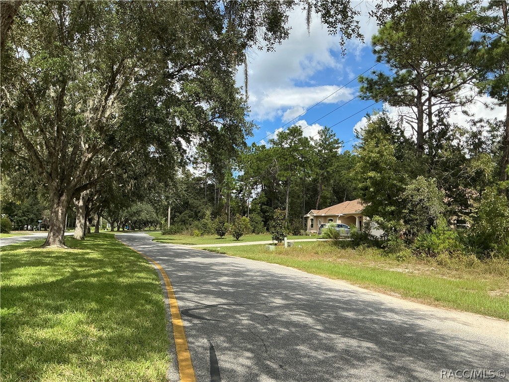 29 Oak Village Boulevard S, Homosassa, FL 34446