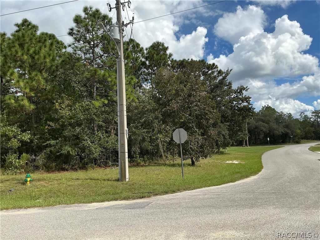 29 Oak Village Boulevard S, Homosassa, FL 34446