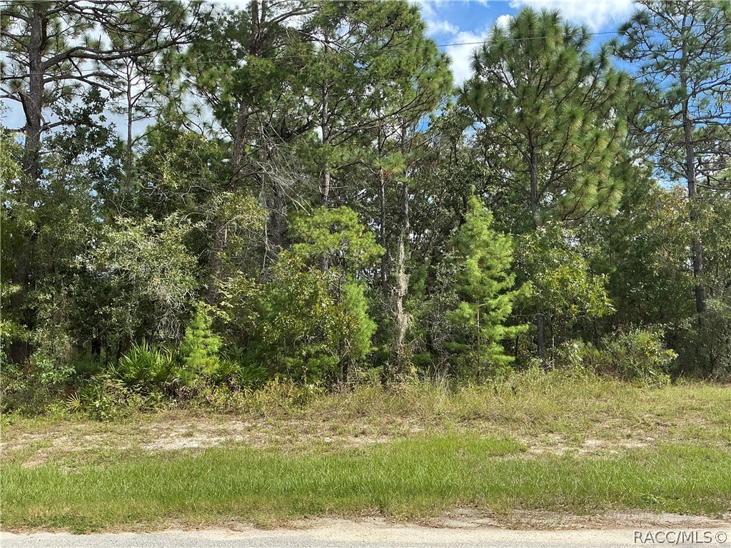 29 Oak Village Boulevard S, Homosassa, FL 34446 29 Oak Village Boulevard S, Homosassa, FL 34446