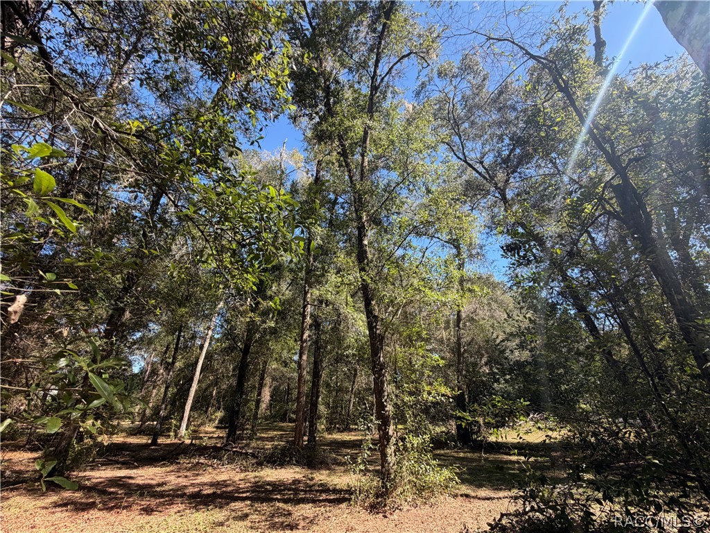 3065 E Grapeleaf Lane, Inverness, FL 34452