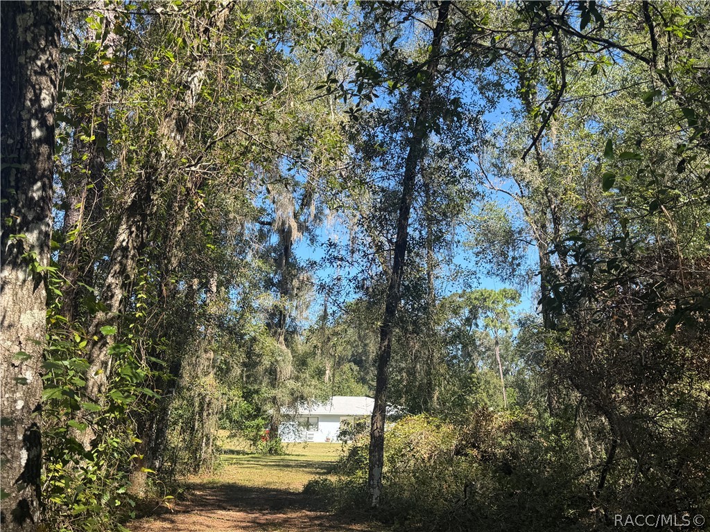 3065 E Grapeleaf Lane, Inverness, FL 34452