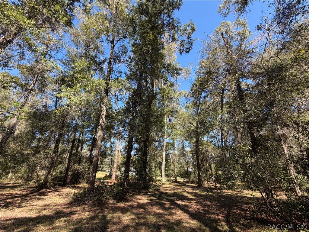 3065 E Grapeleaf Lane, Inverness, FL 34452