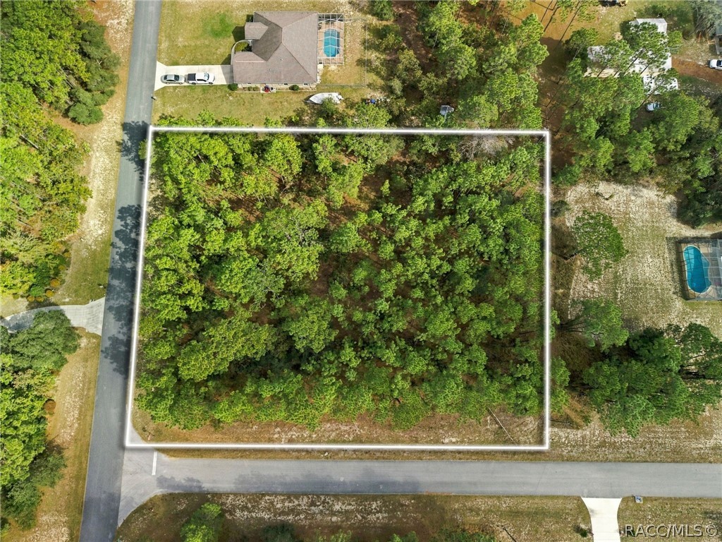 5410 W Pawnee Drive, Beverly Hills, FL 34465