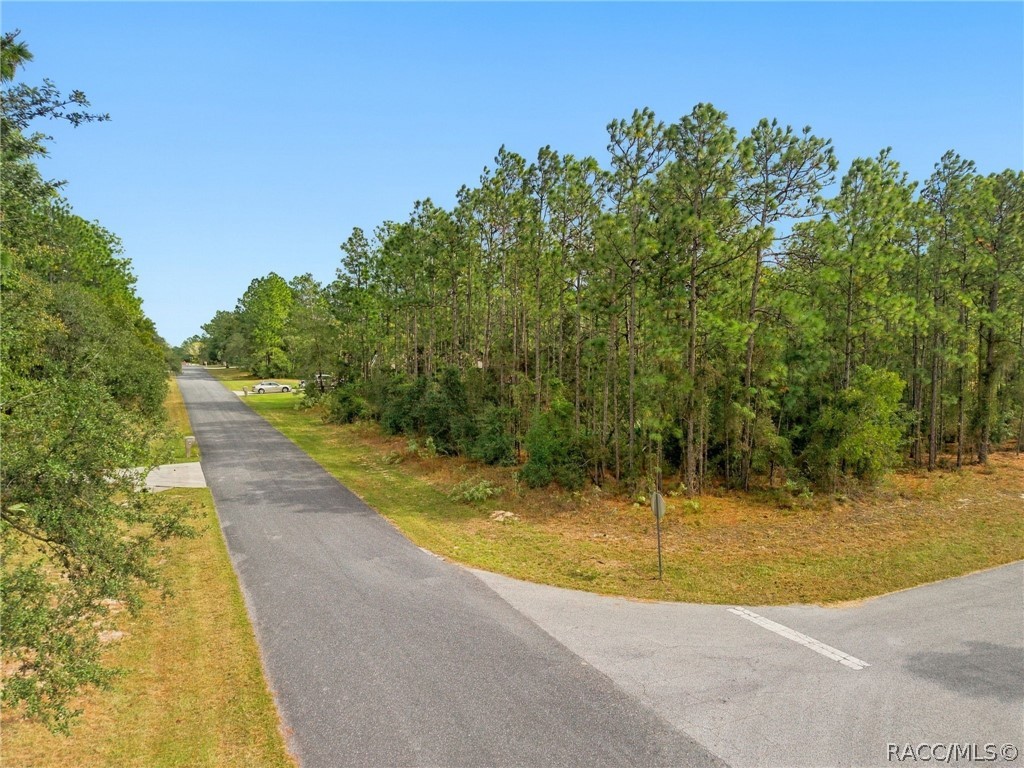 5410 W Pawnee Drive, Beverly Hills, FL 34465