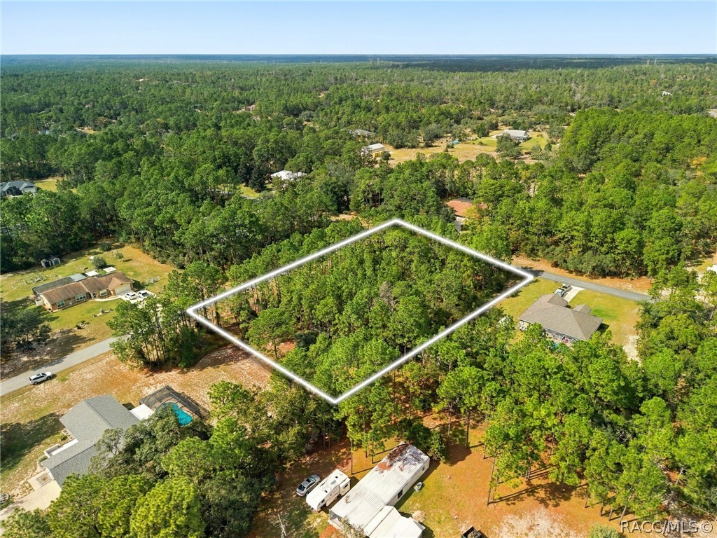 5410 W Pawnee Drive, Beverly Hills, FL 34465