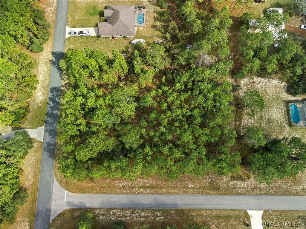5410 W Pawnee Drive, Beverly Hills, FL 34465