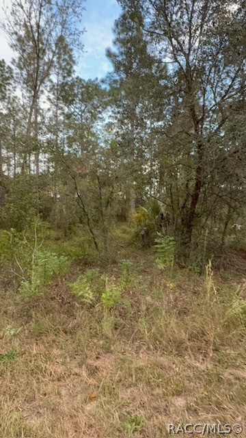 Dunnellon, FL 34431 Dunnellon, FL 34431