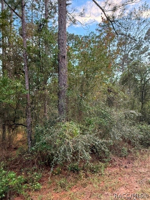 Dunnellon, FL 34431 Dunnellon, FL 34431