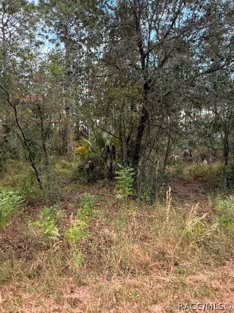 Dunnellon, FL 34431 Dunnellon, FL 34431