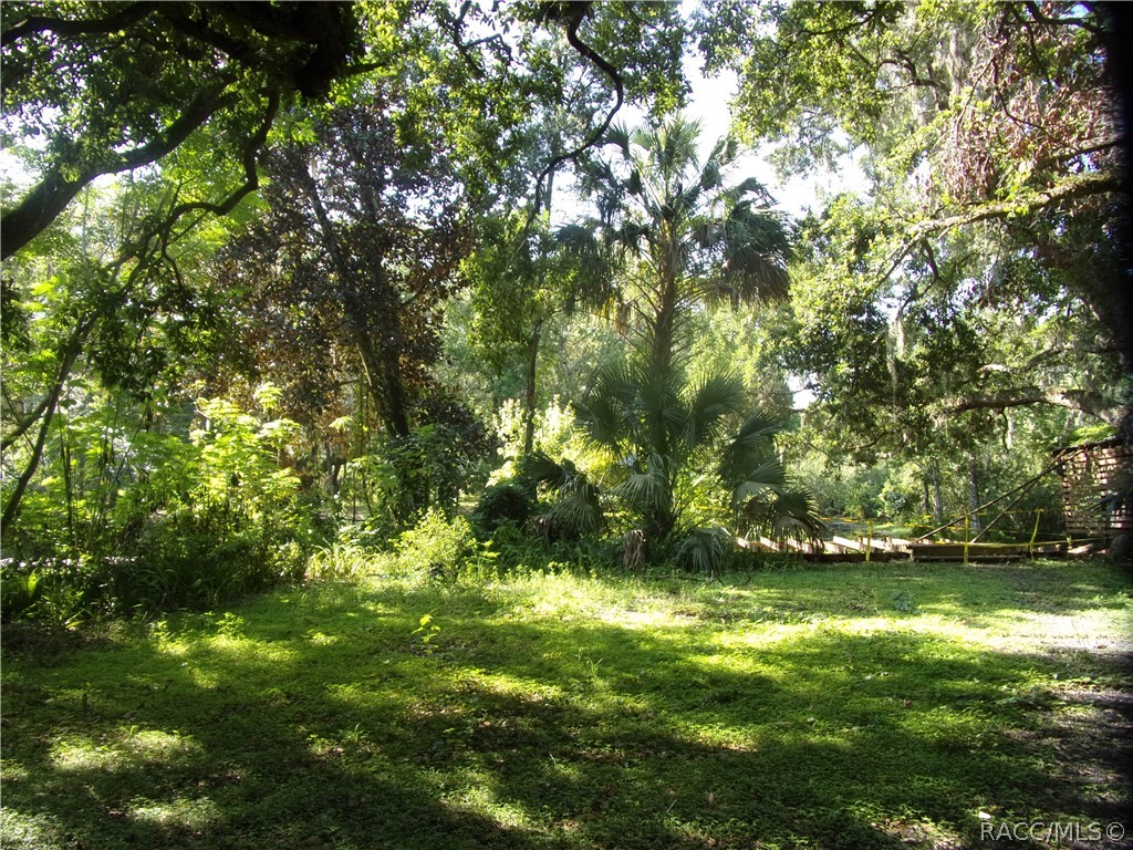 8020 E Gator Court, Inverness, FL 34453