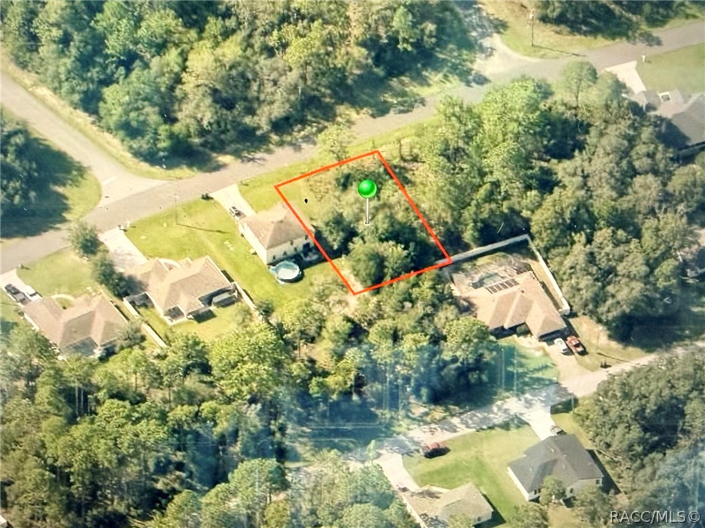 3219 W Babcock Place, Citrus Springs, FL 34433