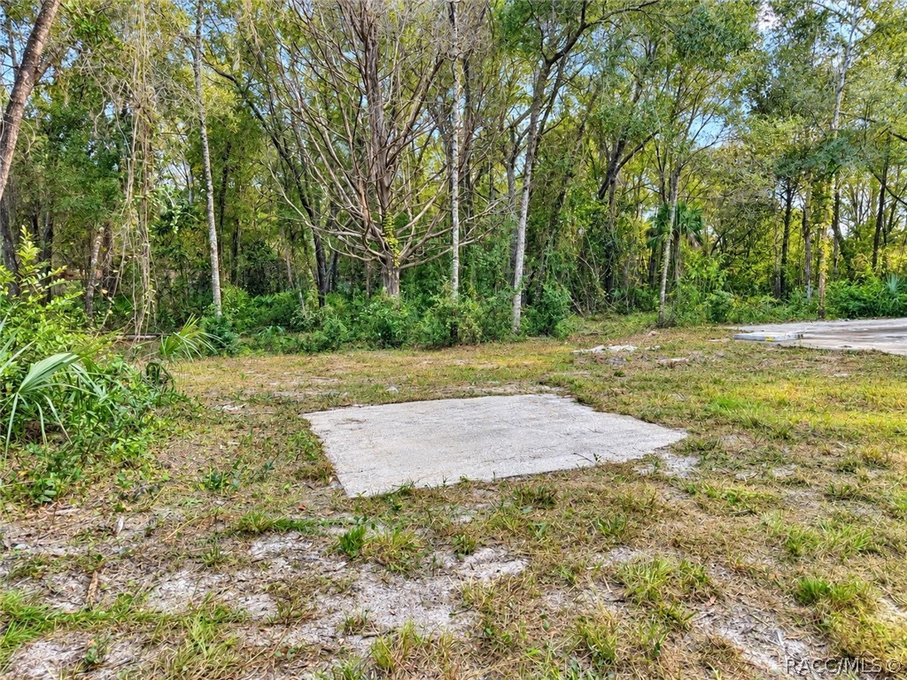 2590 N Donovan Avenue, Crystal River, FL 34428
