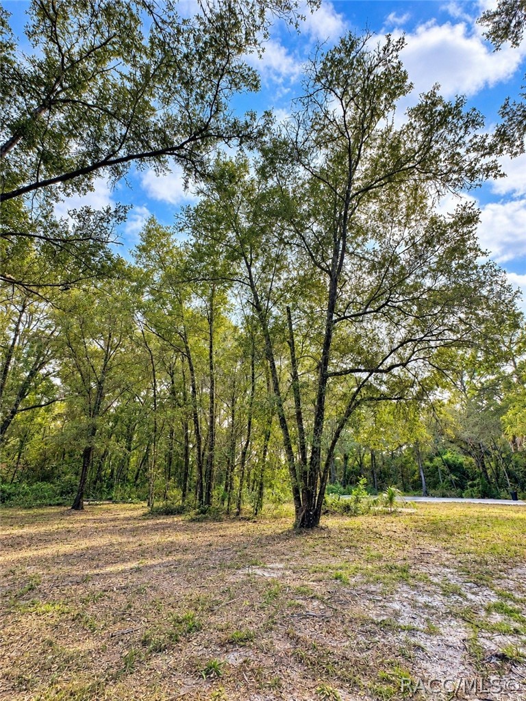 2590 N Donovan Avenue, Crystal River, FL 34428